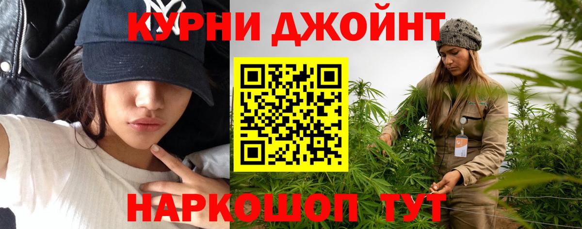 Марихуана тримм  Вход с VPN  Конопля план  Конопля план  Пятигорск 